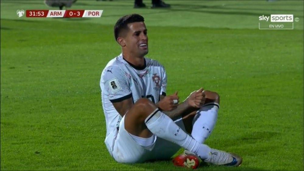 旺财28-致敬若塔，坎塞洛世预赛进球后做出按手柄庆祝动作